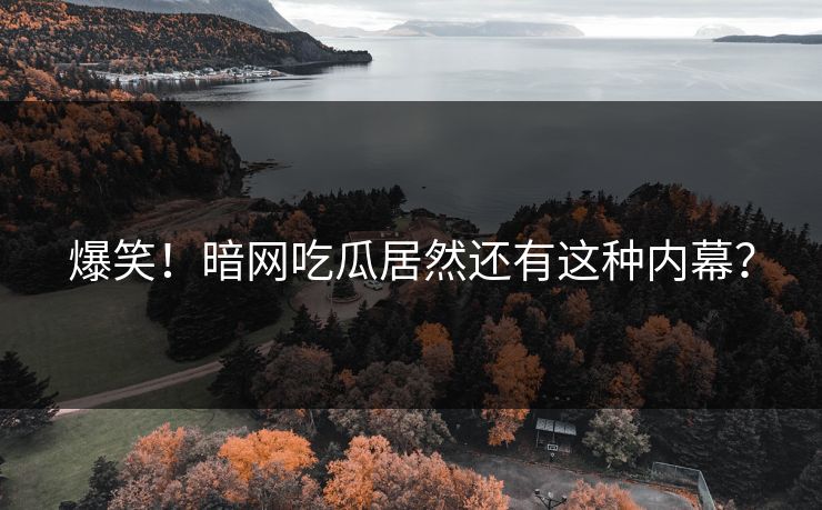 爆笑！暗网吃瓜居然还有这种内幕？