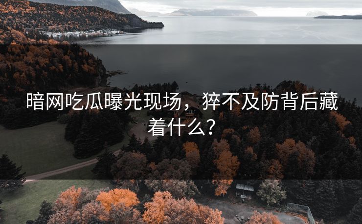 暗网吃瓜曝光现场，猝不及防背后藏着什么？