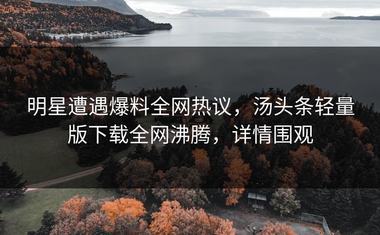 明星遭遇爆料全网热议，汤头条轻量版下载全网沸腾，详情围观