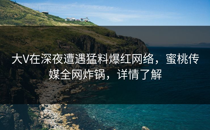 大V在深夜遭遇猛料爆红网络，蜜桃传媒全网炸锅，详情了解