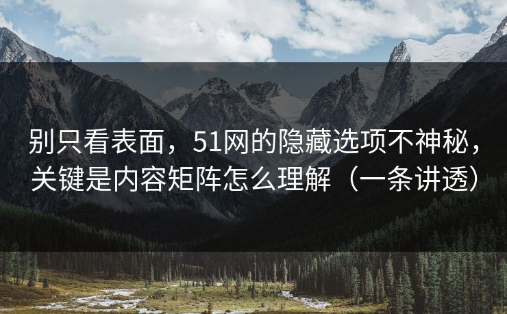 别只看表面，51网的隐藏选项不神秘，关键是内容矩阵怎么理解（一条讲透）